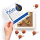Creative gift ideas for real estate agents: chocolate truffle sets