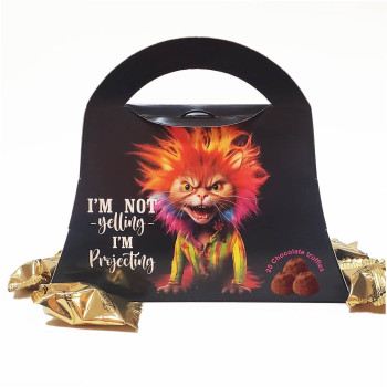 Funny Mom Birthday Gift for Women & Cat Lovers - Purse Design