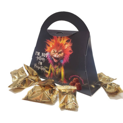 Funny Mom Birthday Gift & Cat Lover Gag Gift - Purse Design