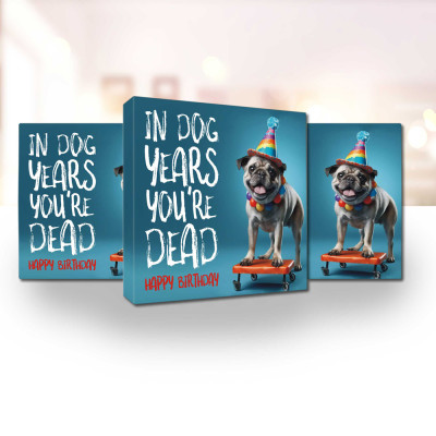 Birthday Gag Gifts for Men and Funny Friends Chocolate Prankster birthday chocolates for guys and friend groups