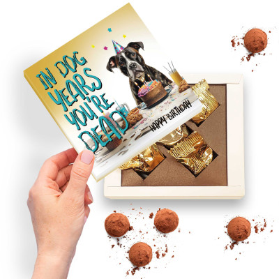 Funny Cheap Gifts and Sister Chocolate Comedy Budget-friendly funny chocolates for sisters and siblings